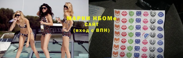 индика Алексин