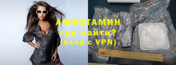 индика Алексин