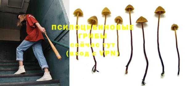 индика Алексин