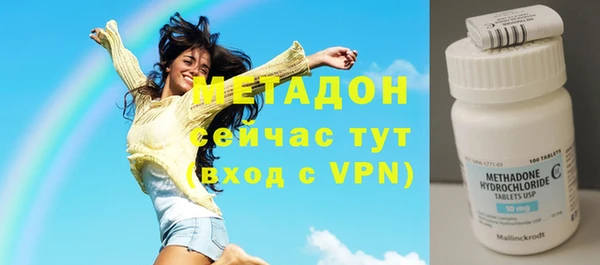 индика Алексин