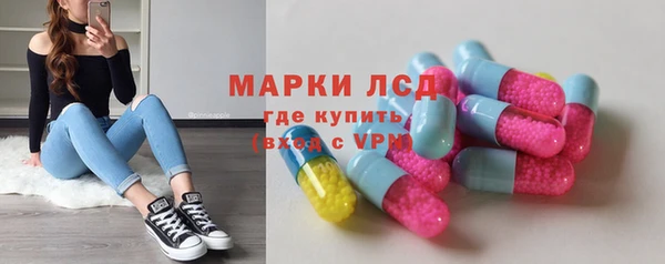 apvp Алзамай