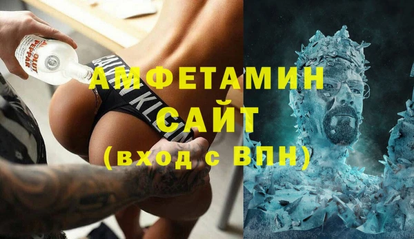 индика Алексин