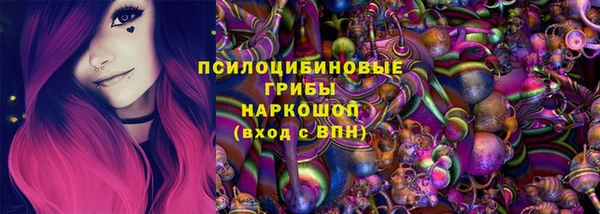 apvp Алзамай