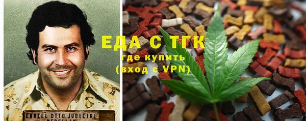 индика Алексин
