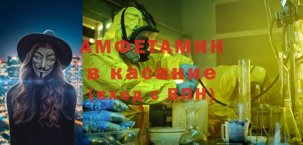 индика Алексин