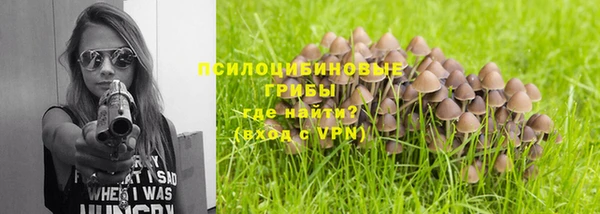 apvp Алзамай